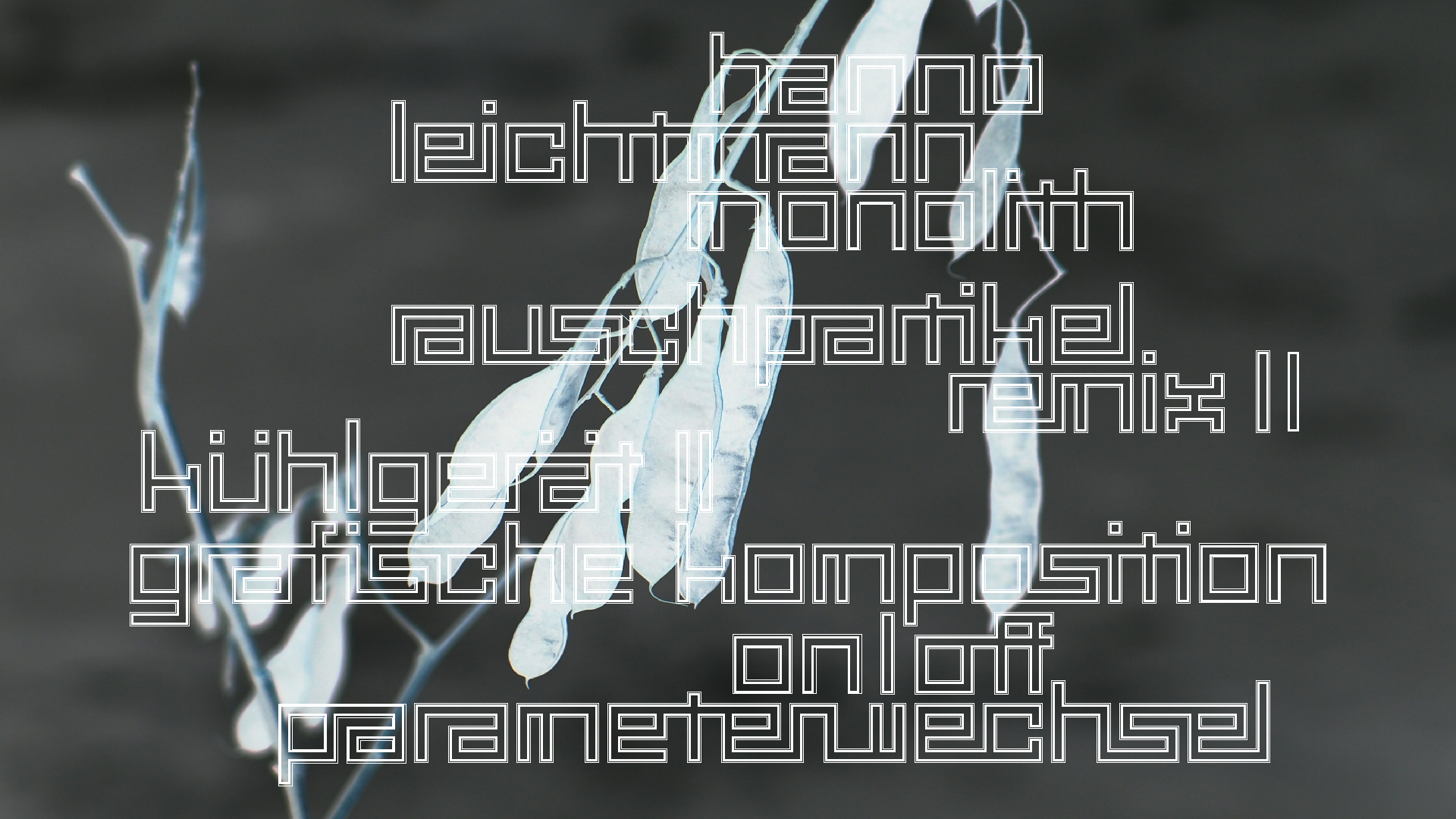 2021-03-10 Hanno Leichtmann - 1996 Monolith (rauschpartikel Remix 1 - 3)